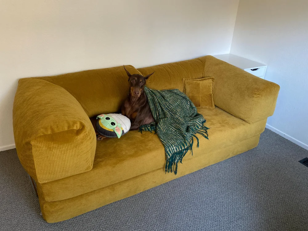 Диван Teddy CORAL в интерьере покупателя, фото 8